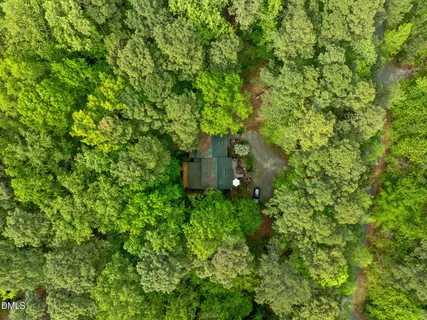 a view of a park with large trees