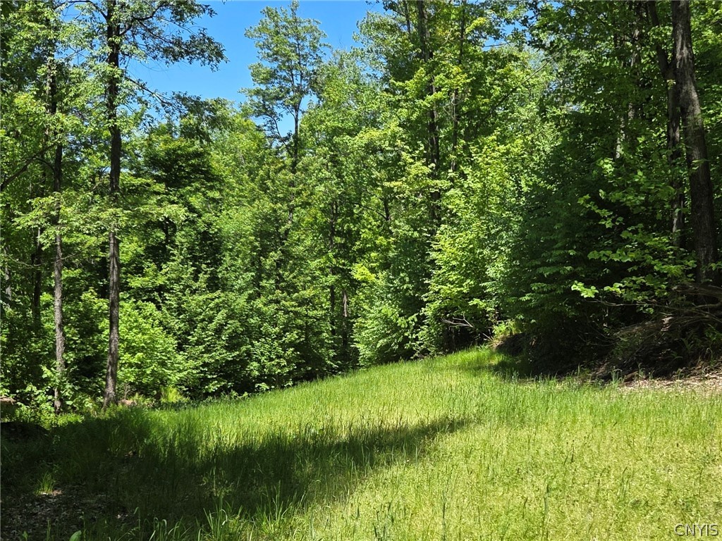 Lillibridge Road Olean, NY 14760 - Photo 47 of 48