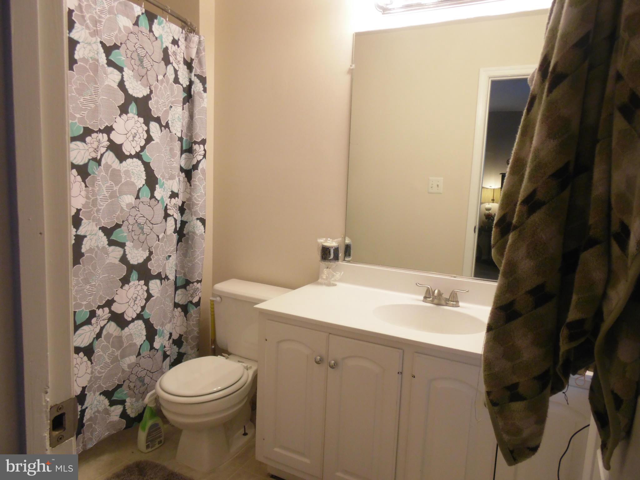 1855 Tubman Road Southeast Washington, DC 20020 - Photo 21 of 22 Bath (Master)
