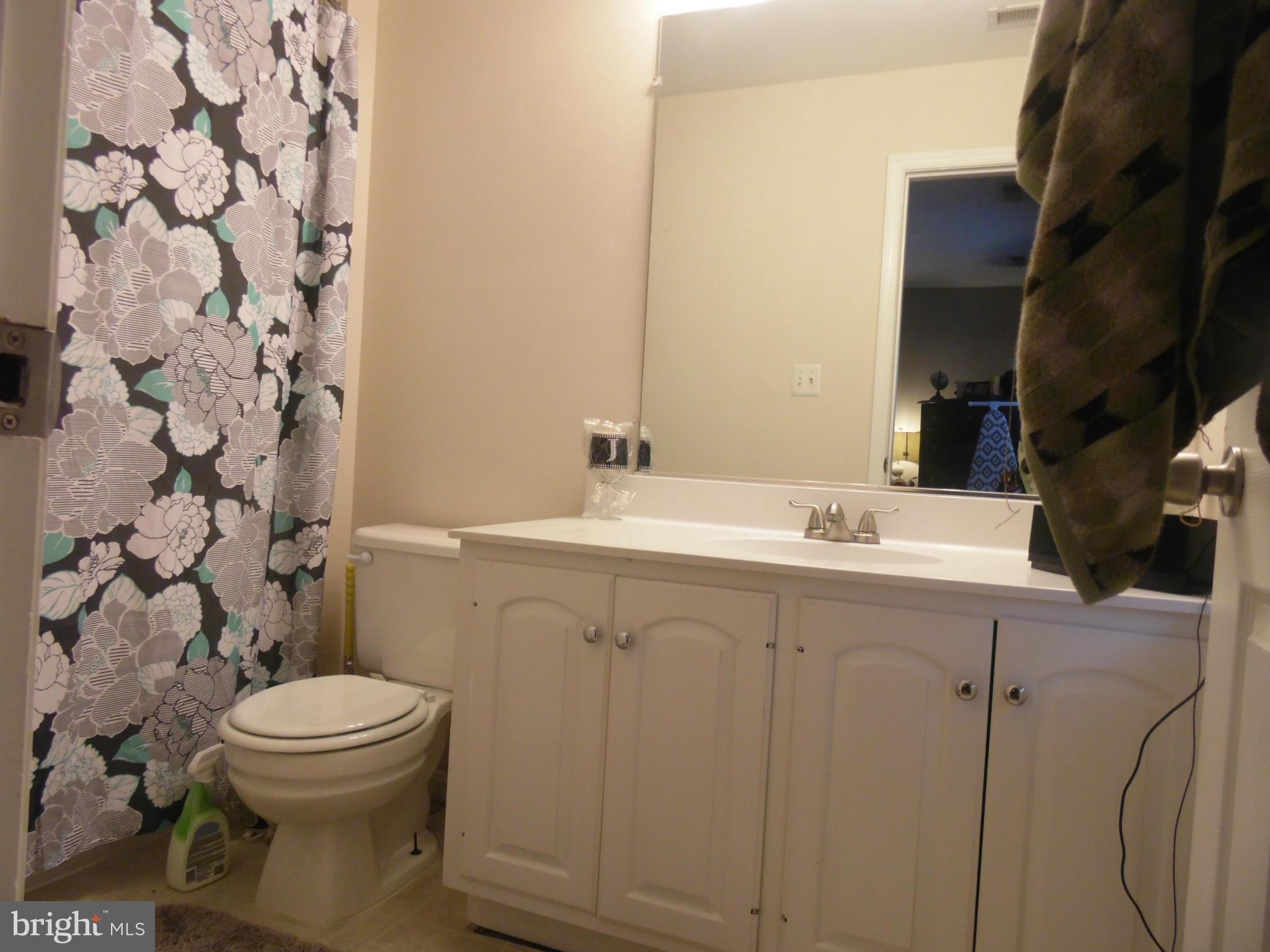 1855 Tubman Road Southeast Washington, DC 20020 - Photo 22 of 22 Bath (Master)