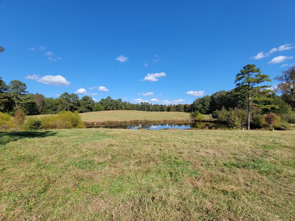 - Red Row Road McCormick, SC 29835 - Photo 7 of 7