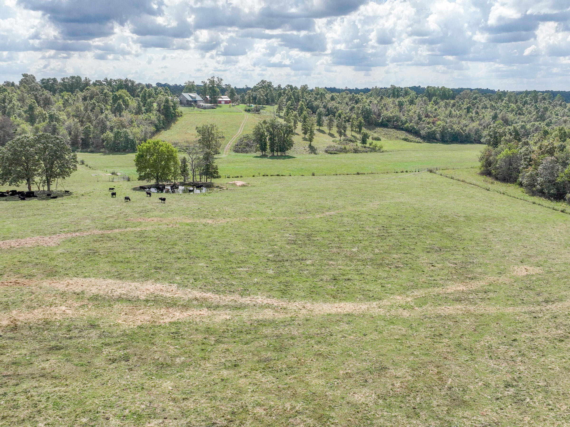 4083 State Route West West Plains, MO 65775 - Photo 3 of 72 Pasture Land