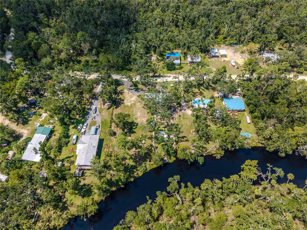 2008 River Road Steinhatchee, FL 32359 - Photo 13 of 41 a view of a garden with plants
