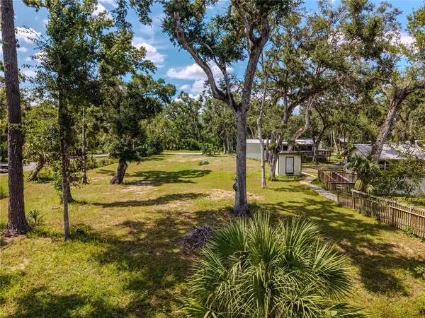 a view of a house with a yard and large tree