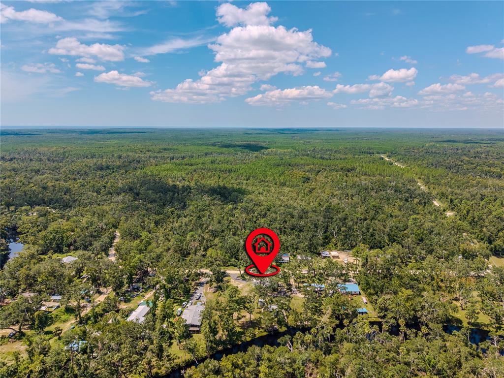 2008 River Road Steinhatchee, FL 32359 - Photo 21 of 41