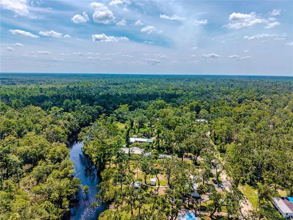 a view of a bunch of trees