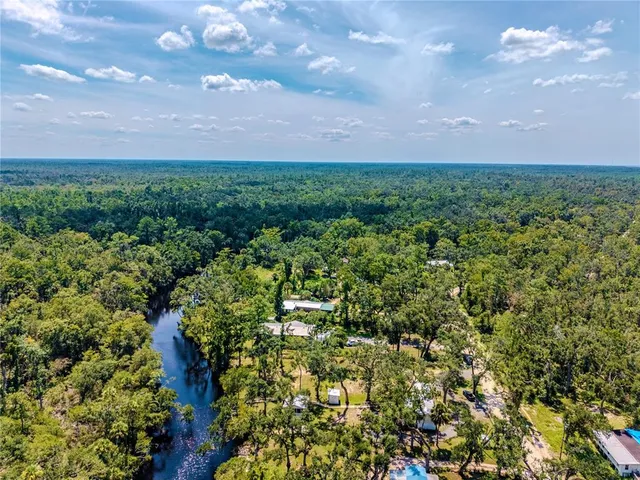 a view of a bunch of trees