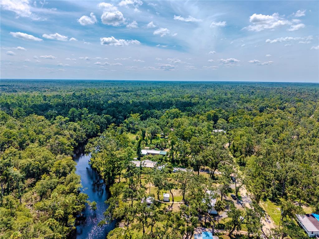 2008 River Road Steinhatchee, FL 32359 - Photo 3 of 41 a view of a bunch of trees