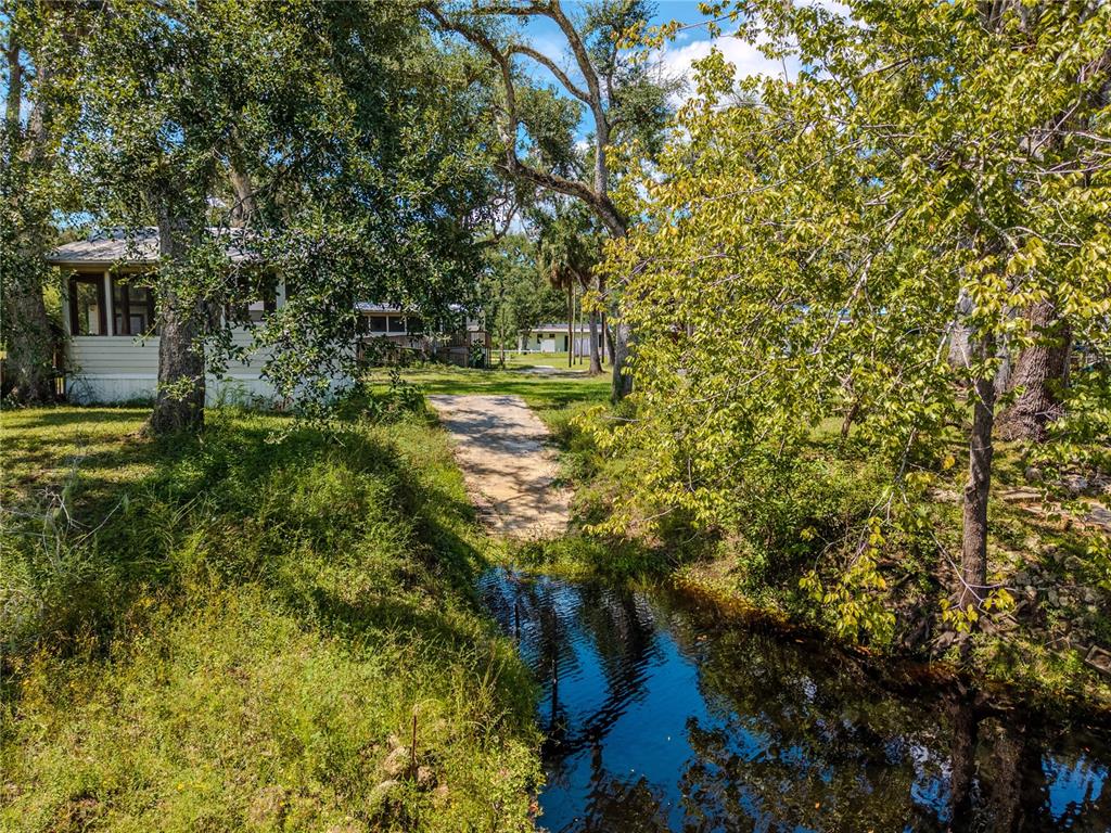 2008 River Road Steinhatchee, FL 32359 - Photo 5 of 41 a view of yard with green space