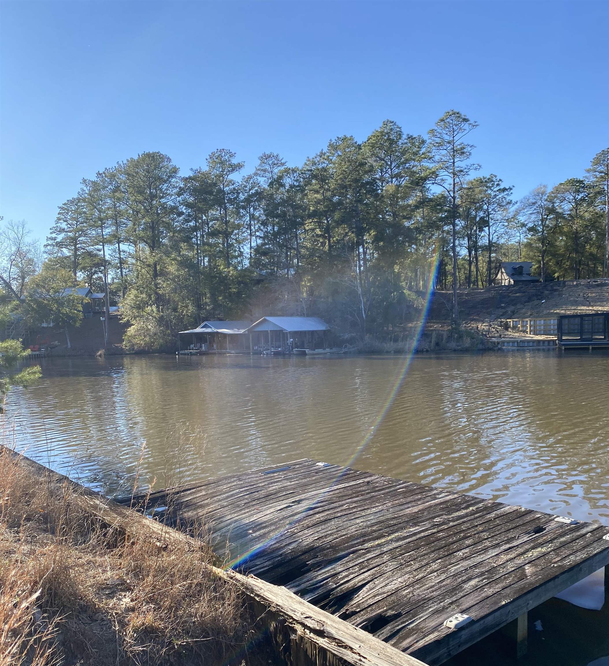 Lot 25 Magnolia Pointe Road Evergreen, AL 36401 - Photo 3 of 12 Gallery Image 3