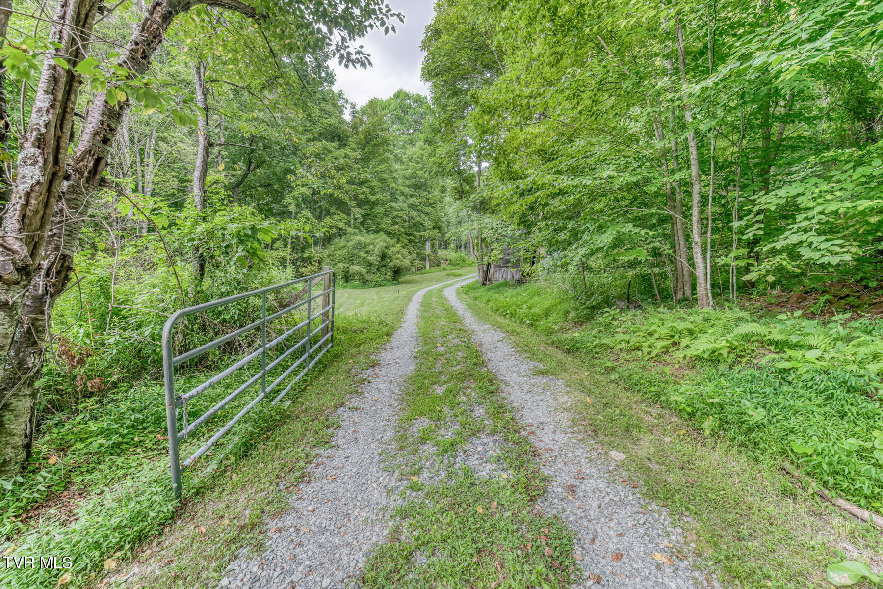 134 Old Church Loop Road Butler, TN 37640 - Photo 51 of 102 134 Old Church Loop Rd-64
