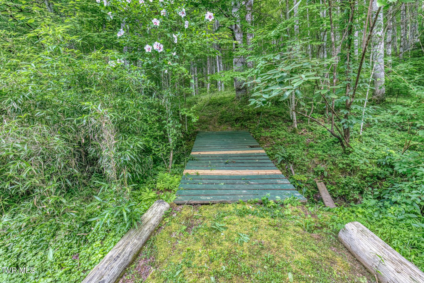 134 Old Church Loop Road Butler, TN 37640 - Photo 55 of 102 134 Old Church Loop Rd-54