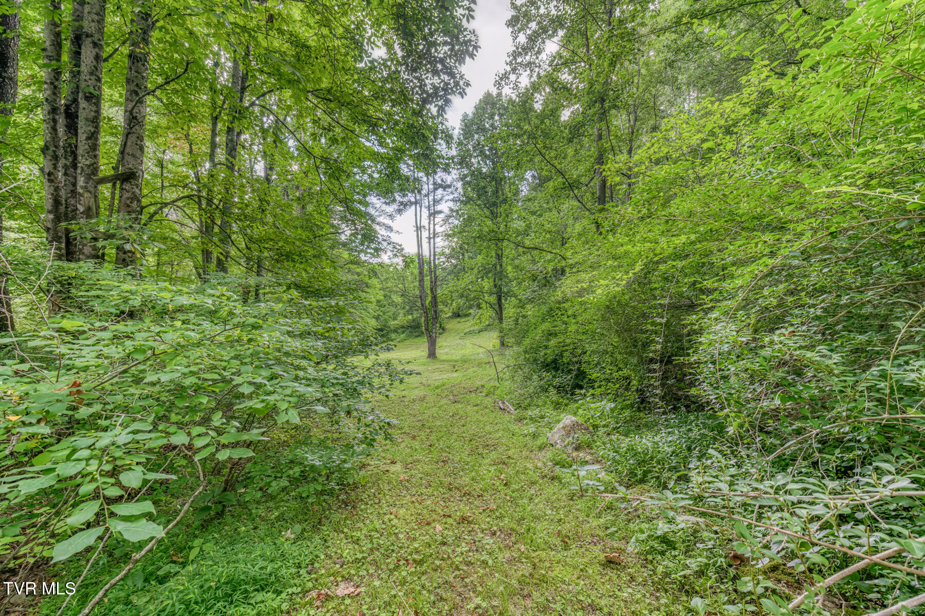134 Old Church Loop Road Butler, TN 37640 - Photo 56 of 102 134 Old Church Loop Rd-57