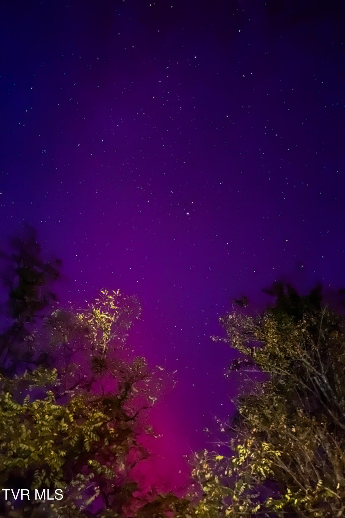 134 Old Church Loop Road Butler, TN 37640 - Photo 62 of 102 134 Old Church Loop Rd-93