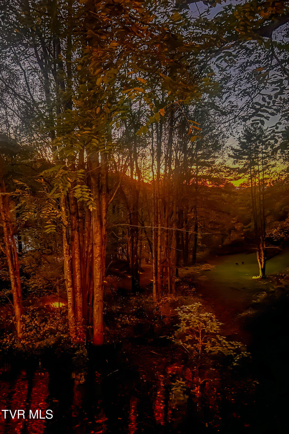 134 Old Church Loop Road Butler, TN 37640 - Photo 64 of 102 134 Old Church Loop Rd-99