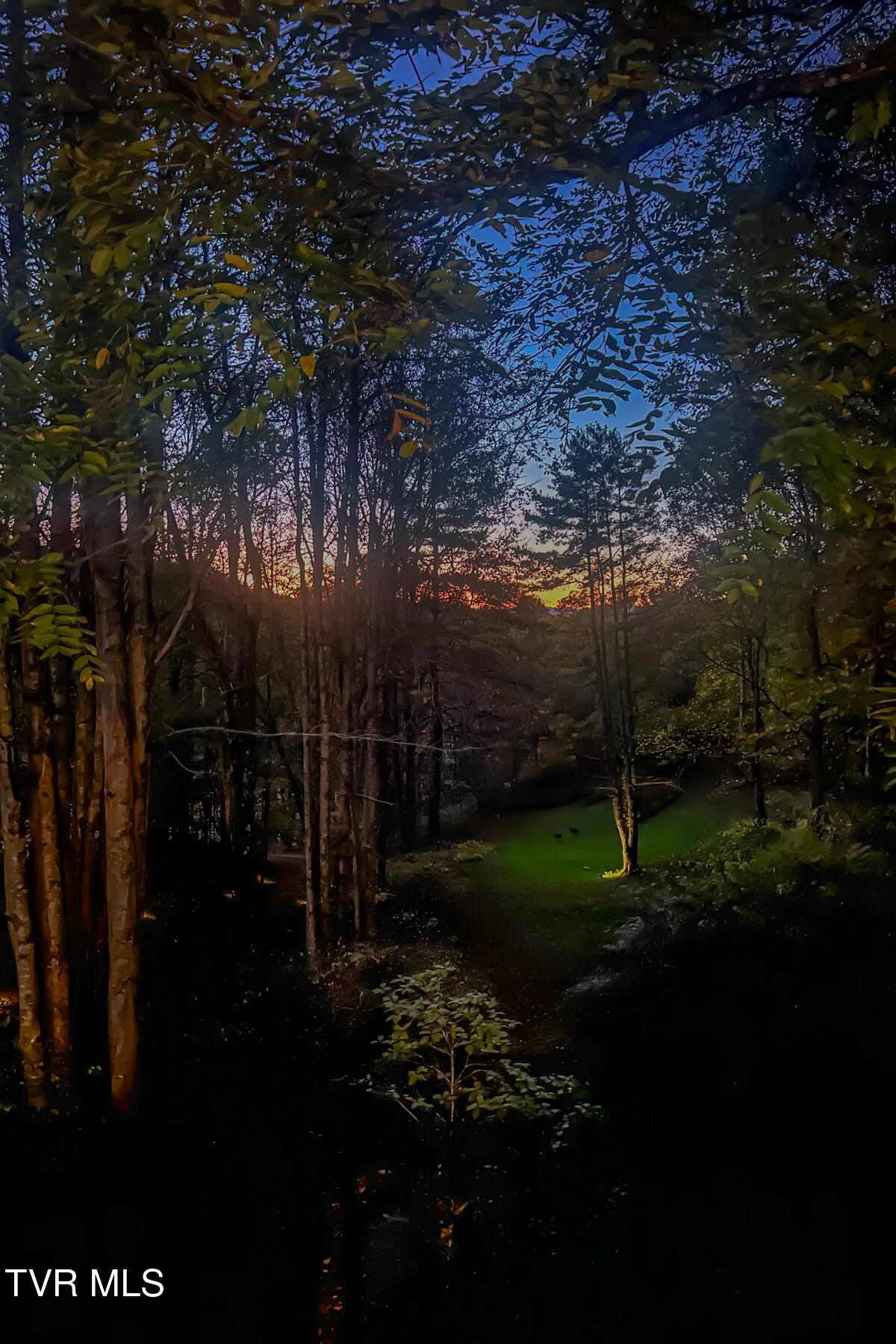 134 Old Church Loop Road Butler, TN 37640 - Photo 65 of 102 134 Old Church Loop Rd-100