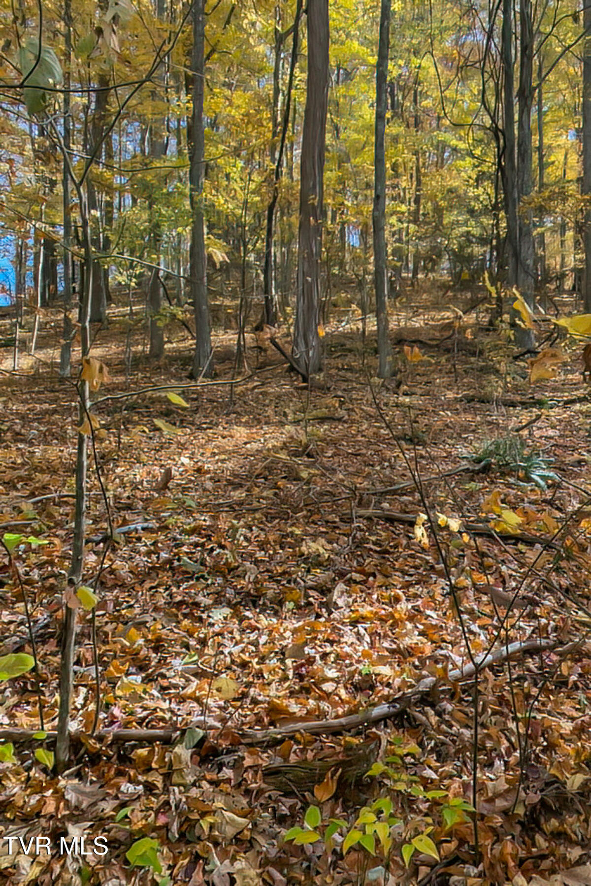 134 Old Church Loop Road Butler, TN 37640 - Photo 66 of 102 134 Old Church Loop Rd-121
