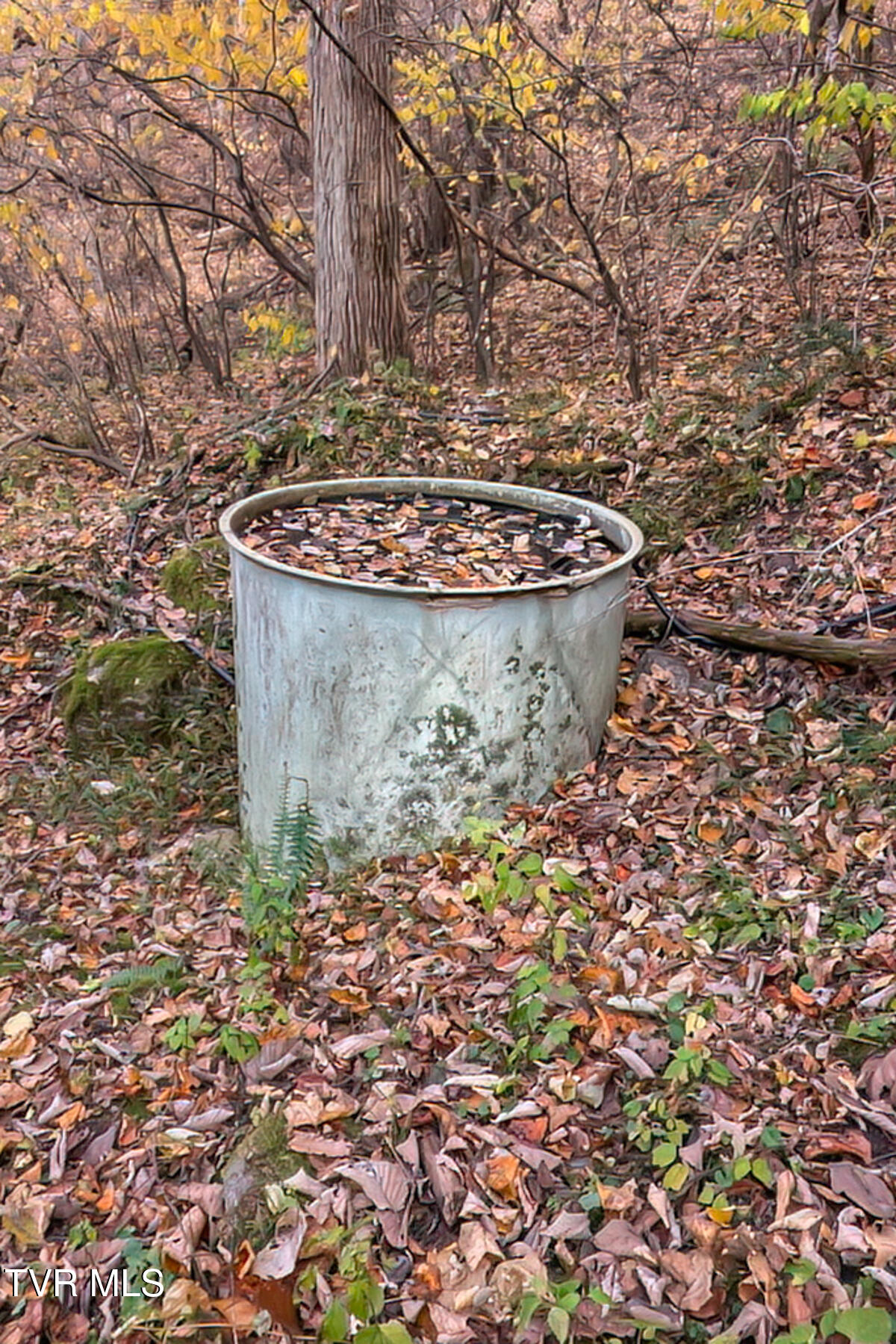 134 Old Church Loop Road Butler, TN 37640 - Photo 67 of 102 134 Old Church Loop Rd-122