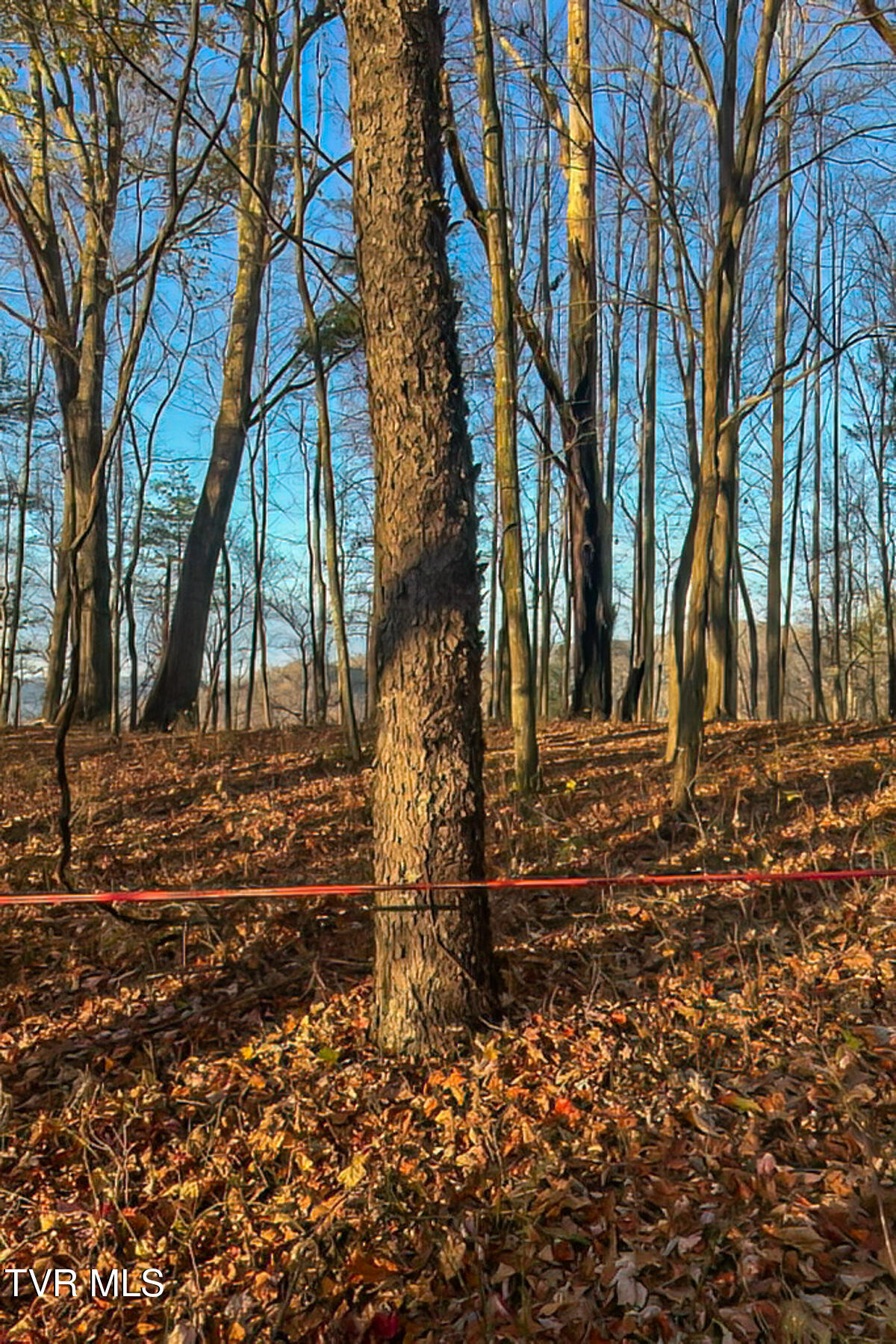 134 Old Church Loop Road Butler, TN 37640 - Photo 72 of 102 134 Old Church Loop Rd-134