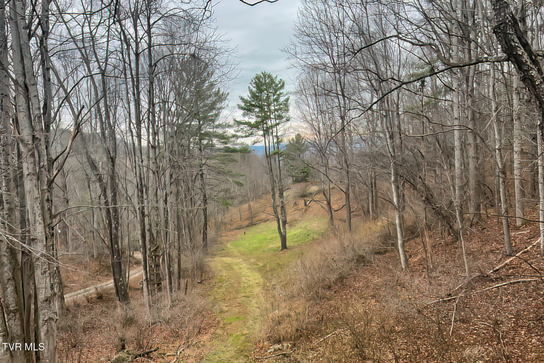134 Old Church Loop Road Butler, TN 37640 - Photo 73 of 102 134 Old Church Loop Rd-135