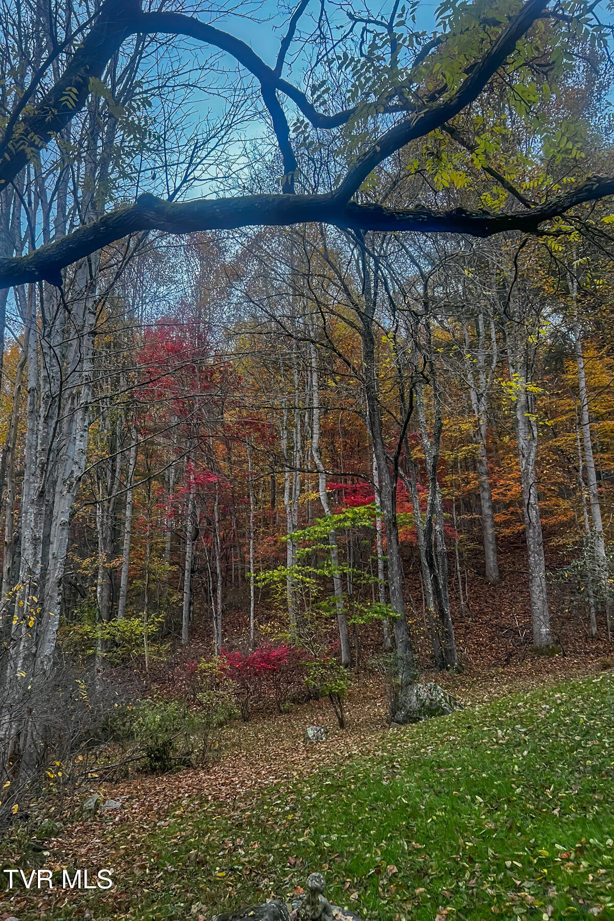 134 Old Church Loop Road Butler, TN 37640 - Photo 74 of 102 134 Old Church Loop Rd-108