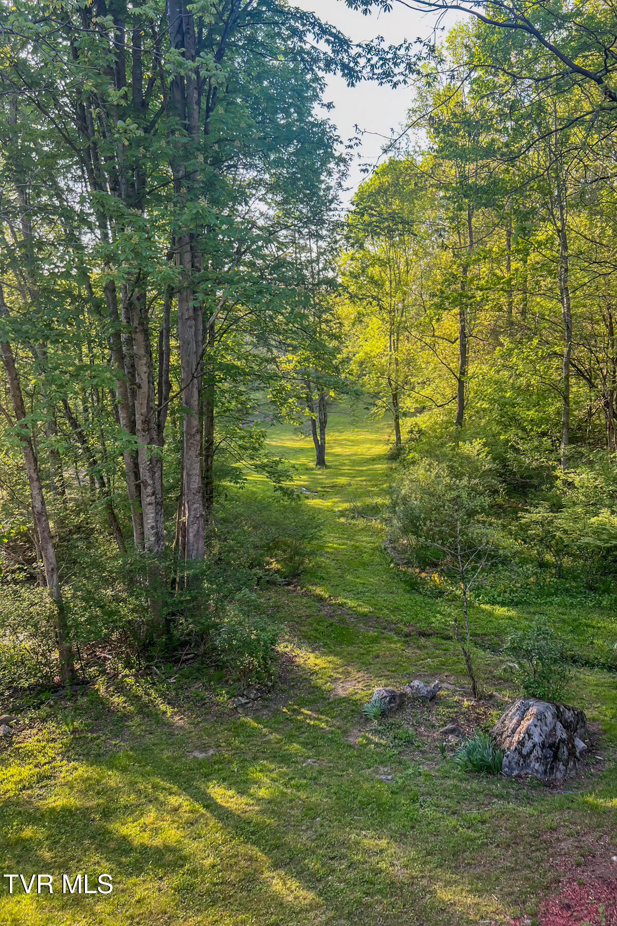 134 Old Church Loop Road Butler, TN 37640 - Photo 75 of 102 134 Old Church Loop Rd-116