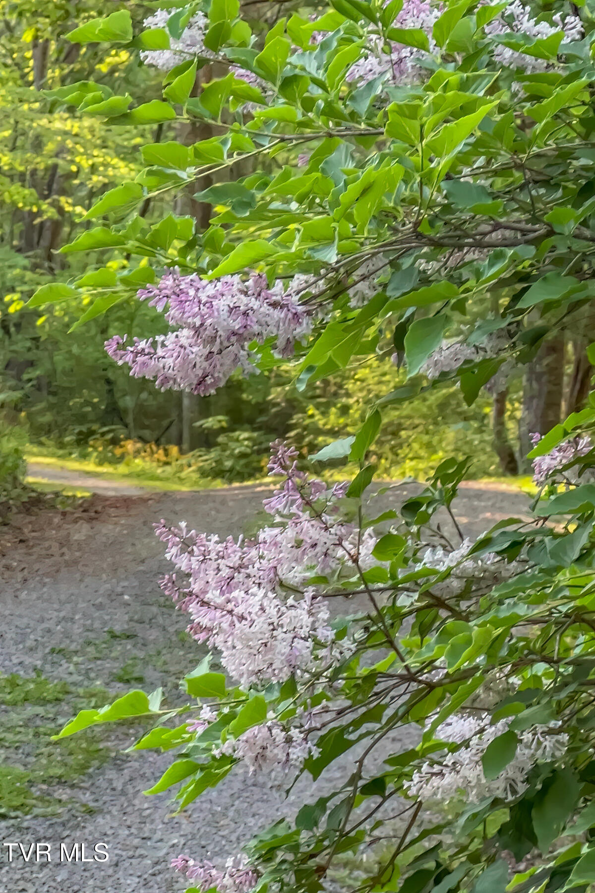 134 Old Church Loop Road Butler, TN 37640 - Photo 76 of 102 134 Old Church Loop Rd-118