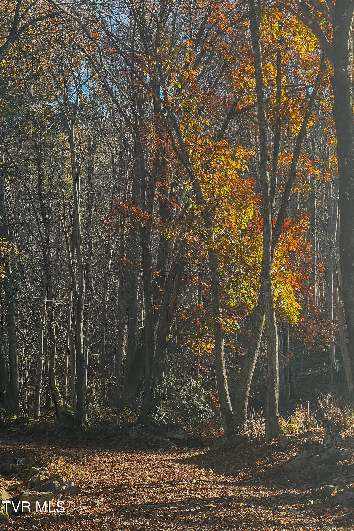 134 Old Church Loop Road Butler, TN 37640 - Photo 77 of 102 134 Old Church Loop Rd-77