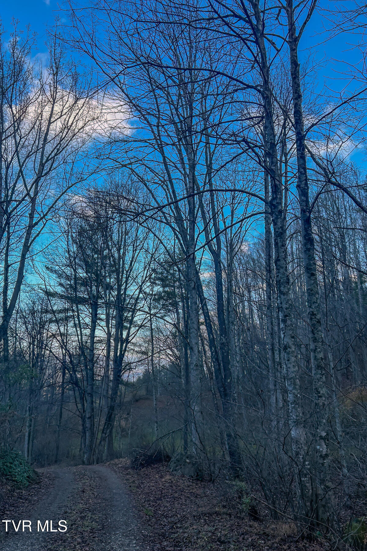 134 Old Church Loop Road Butler, TN 37640 - Photo 78 of 102 134 Old Church Loop Rd-78