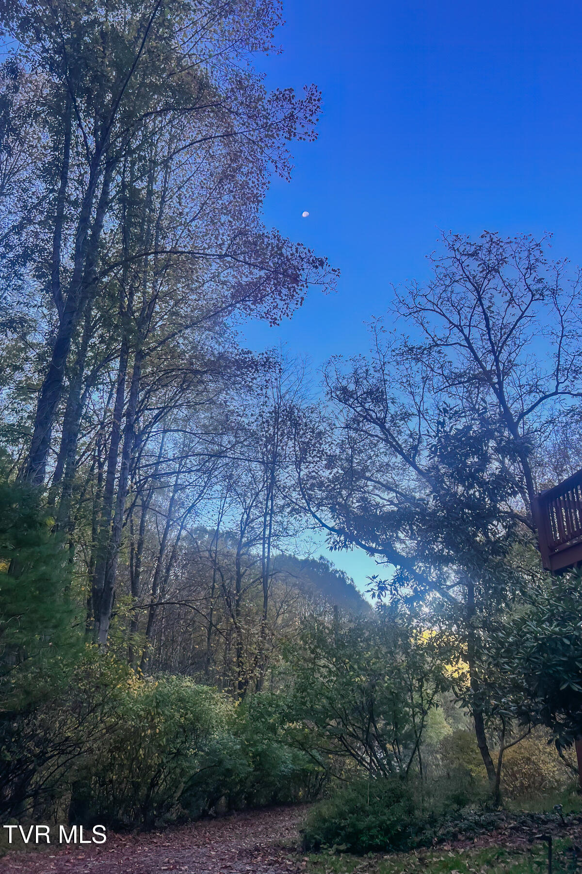 134 Old Church Loop Road Butler, TN 37640 - Photo 79 of 102 134 Old Church Loop Rd-102