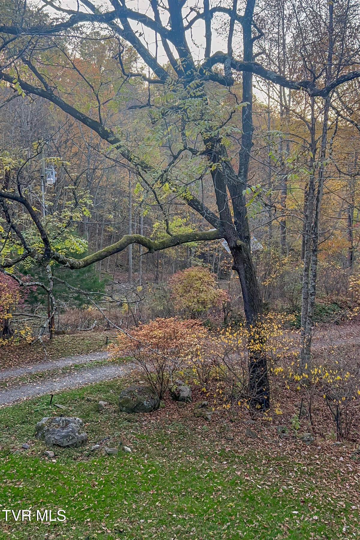 134 Old Church Loop Road Butler, TN 37640 - Photo 80 of 102 134 Old Church Loop Rd-104