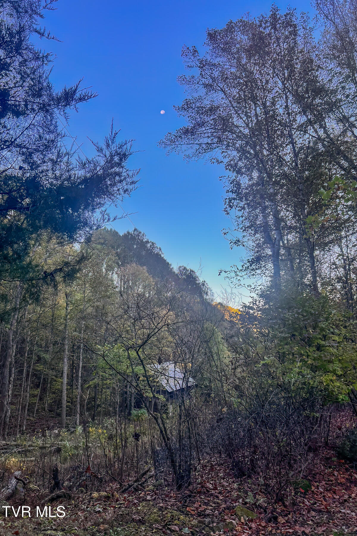 134 Old Church Loop Road Butler, TN 37640 - Photo 83 of 102 134 Old Church Loop Rd-101