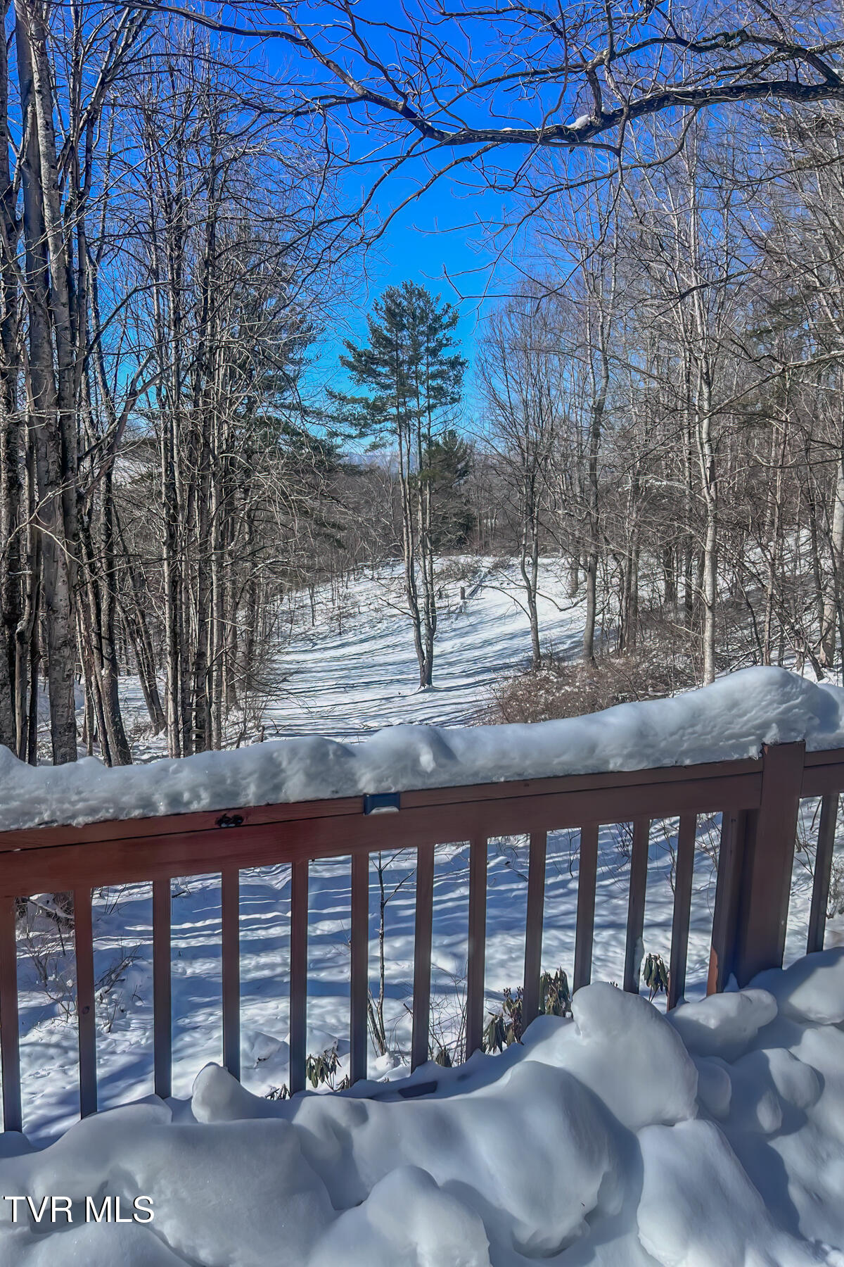 134 Old Church Loop Road Butler, TN 37640 - Photo 93 of 102 134 Old Church Loop Rd-75