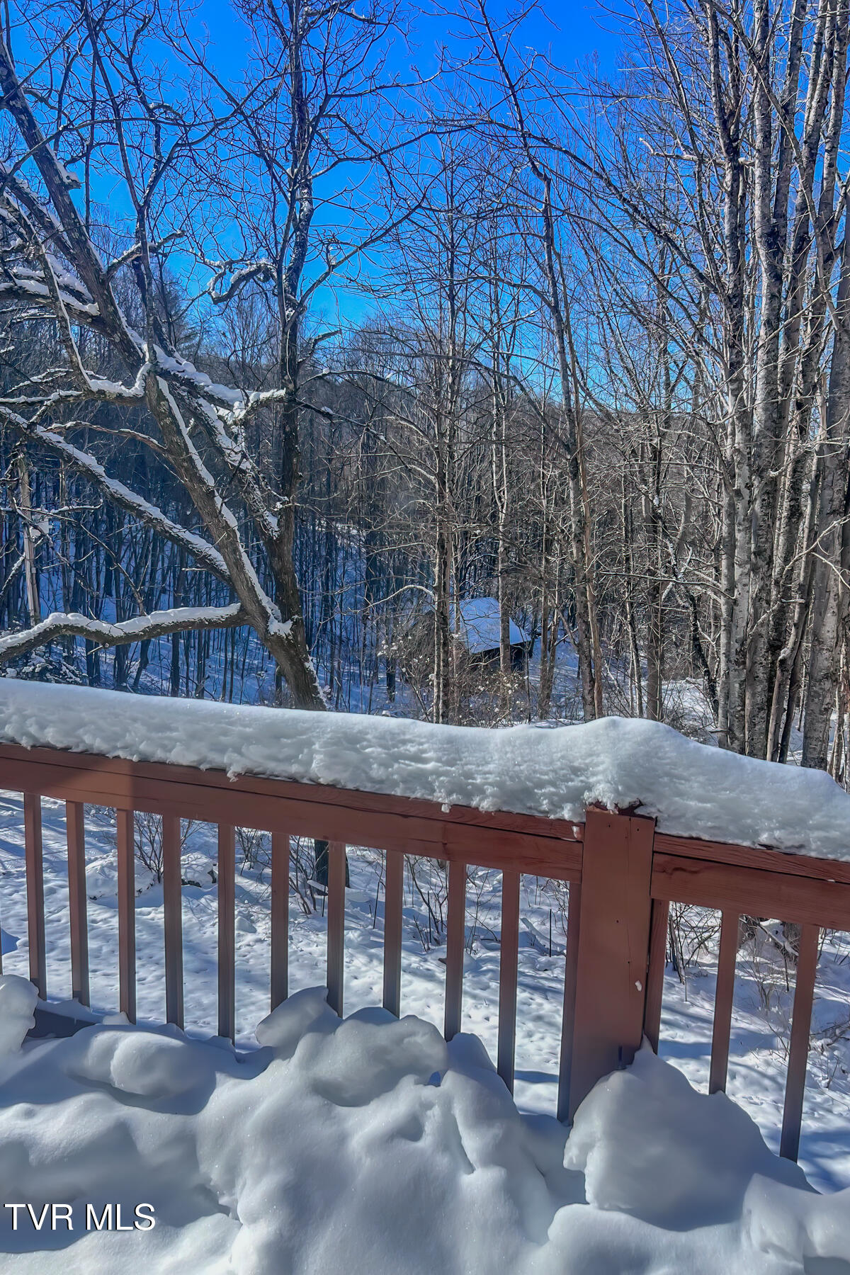 134 Old Church Loop Road Butler, TN 37640 - Photo 94 of 102 134 Old Church Loop Rd-76