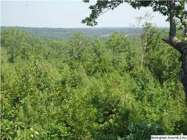 Mayo Road, Unit 96 Altoona, AL 35952 - Photo 1 of 23