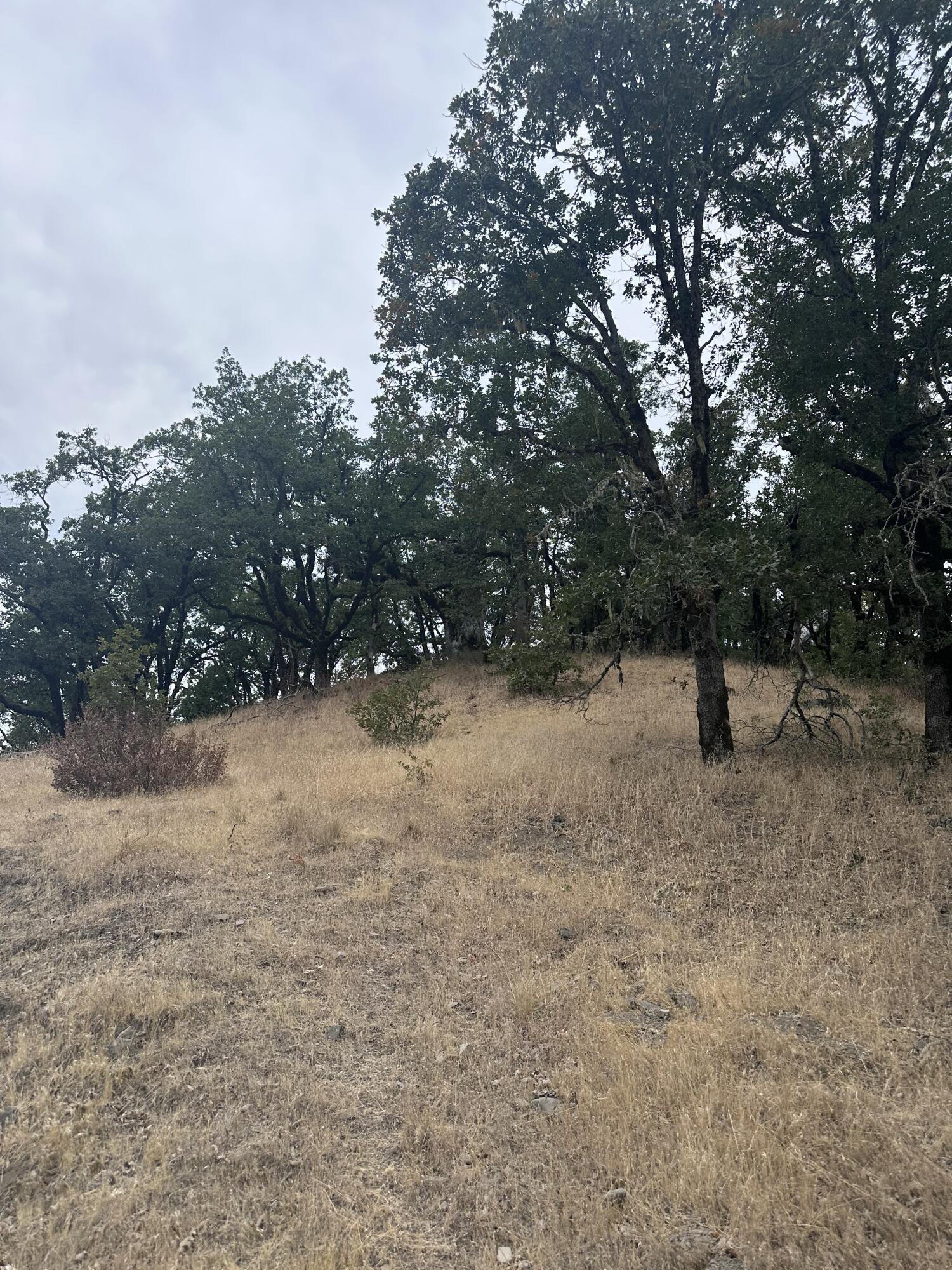 0 River Road Miranda, CA 95553 - Photo 22 of 31