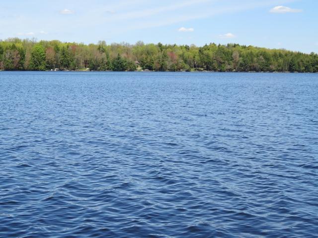 6653 Whitefish Lake Road Three Lakes, WI 54562 - Photo 20 of 20 Gallery Image 20