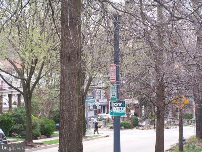 1901 Park Road Northwest Washington, DC 20010 - Photo 18 of 25 Beautiful tree lined street