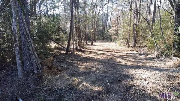 $49,900 | Tract A & B McClendon Lane, Amite, LA 70422