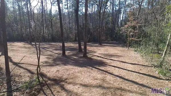 $49,900 | Tract A & B McClendon Lane, Amite, LA 70422