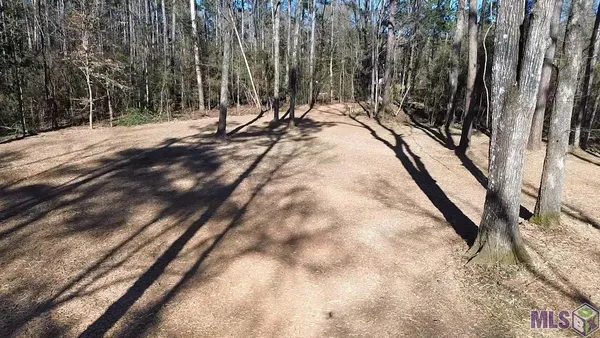 $49,900 | Tract A & B McClendon Lane, Amite, LA 70422