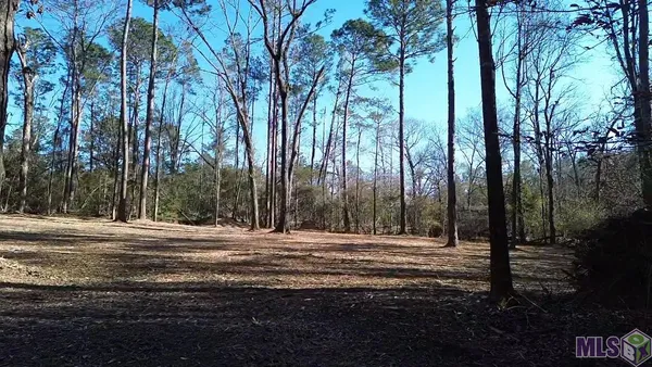 $49,900 | Tract A & B McClendon Lane, Amite, LA 70422