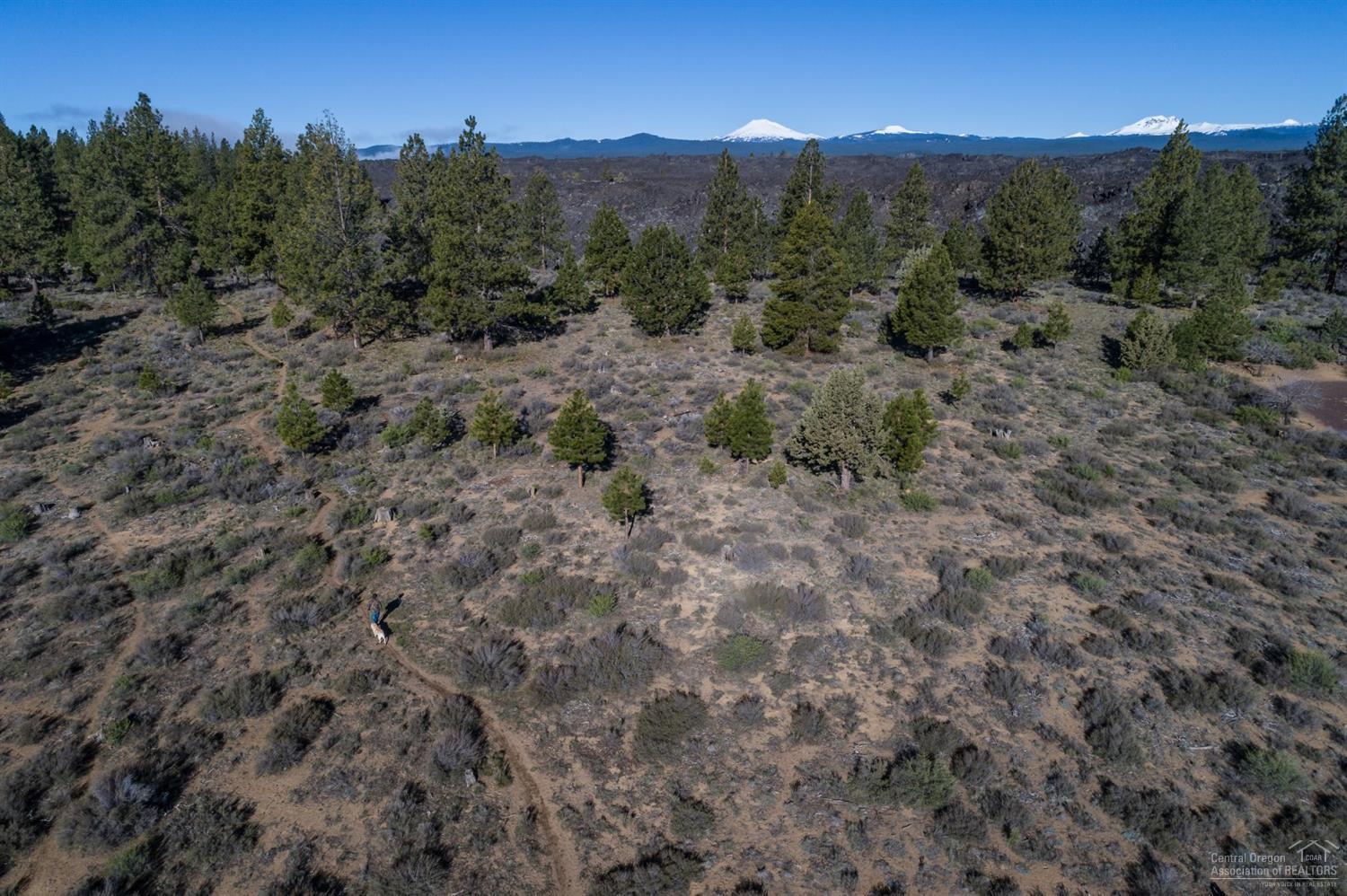 19375 Mohawk Road Bend, OR 97702 - Photo 25 of 25 a view of a city with lush green forest