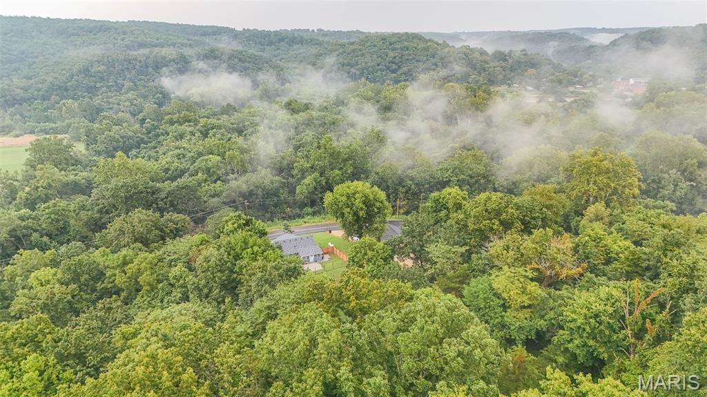 18726 State Rte P Newburg, MO 65550 - Photo 47 of 62