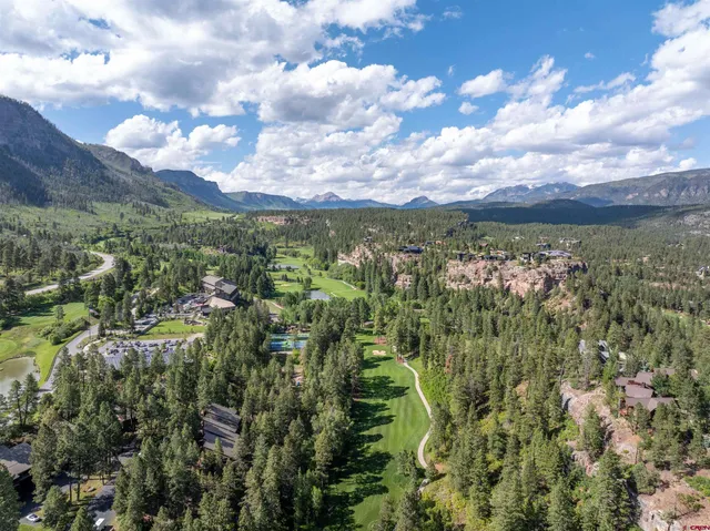 a view of a bunch of trees