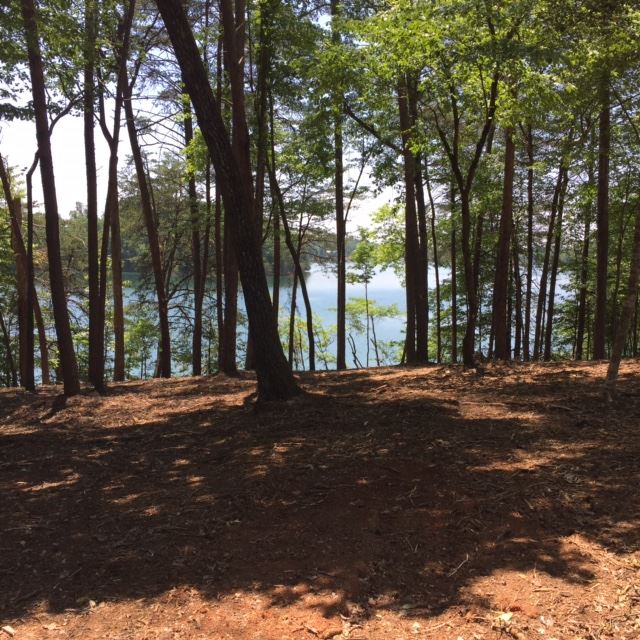 Peninsula Ridge, Unit P2 58 Sunset, SC 29685 - Photo 3 of 11 Gallery Image 3