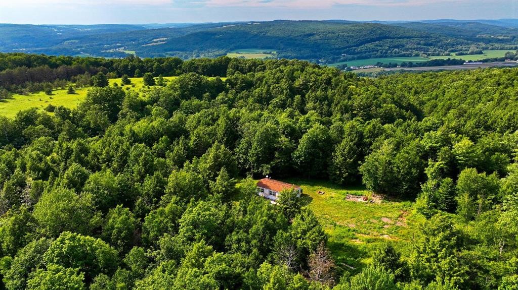 614 Neff Hill Road Bainbridge, NY 13733 - Photo 9 of 13