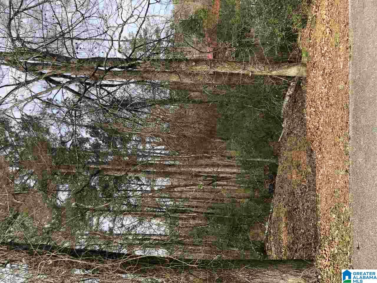 74 Dunstans Mall Calera, AL 35040 - Photo 4 of 4