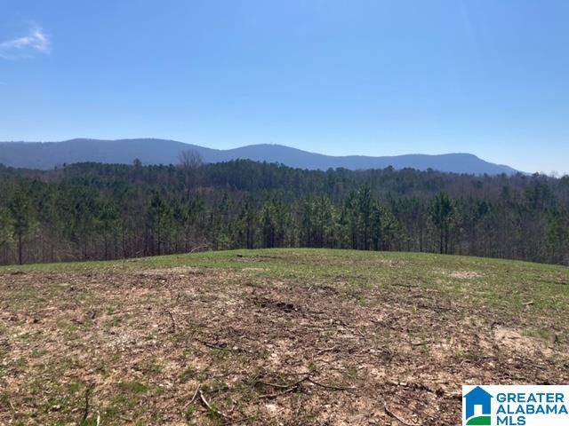 6951 Rendalia Motorway, Unit 16 79 Talladega, AL 35160 - Photo 1 of 5