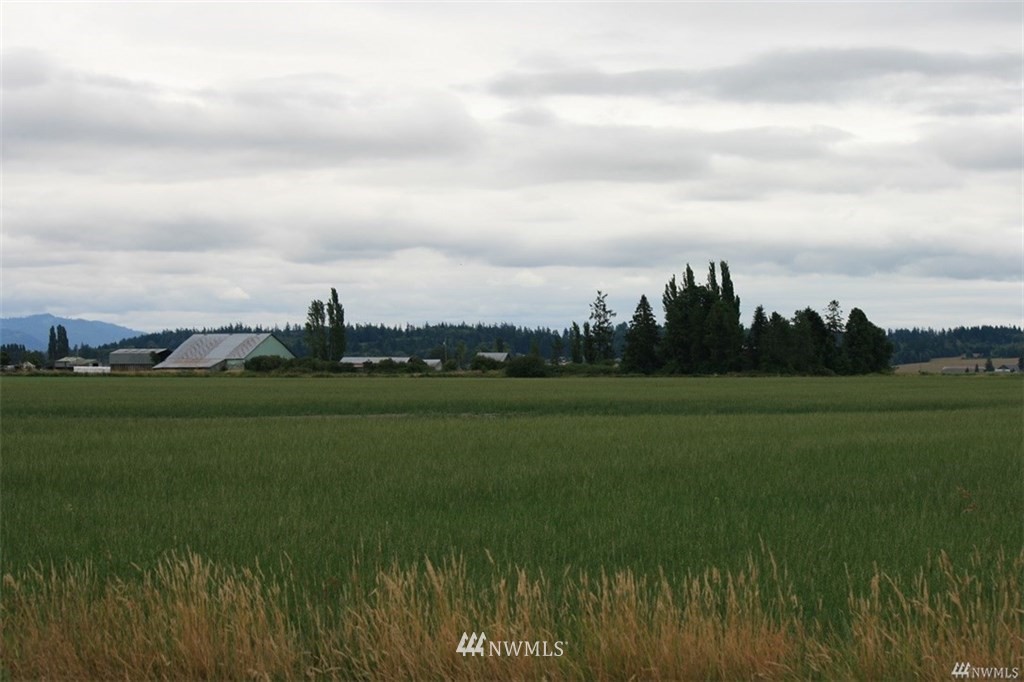 7253 Bayview Edison Road Bow, WA 98232 - Photo 6 of 9 Gallery Image 6